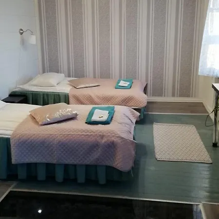 Hotel Suonenjoki Hotell 3*