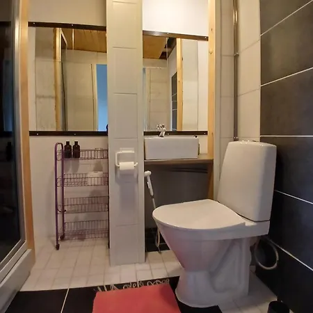 Hotel Suonenjoki 3* Suonenjoki