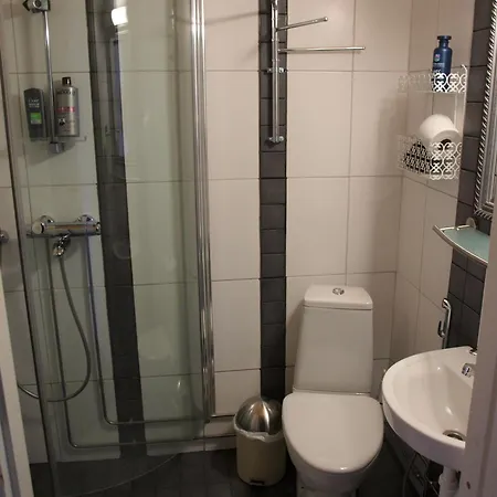Hotel Suonenjoki Hotell 3*